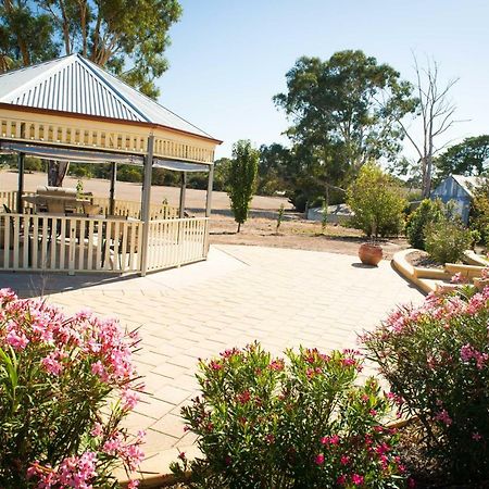 Barossa Vineyard Cottages Tanunda Exterior foto