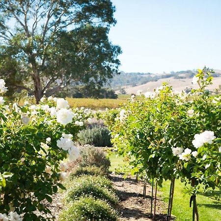 Barossa Vineyard Cottages Tanunda Exterior foto