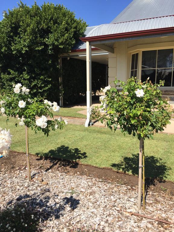 Barossa Vineyard Cottages Tanunda Exterior foto