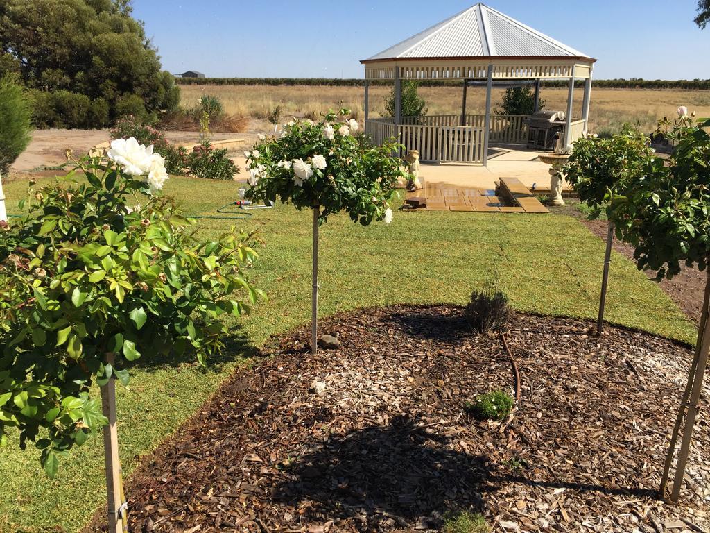 Barossa Vineyard Cottages Tanunda Exterior foto
