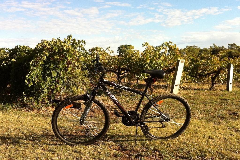 Barossa Vineyard Cottages Tanunda Exterior foto