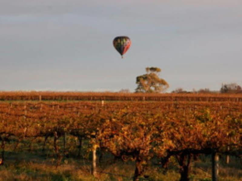 Barossa Vineyard Cottages Tanunda Exterior foto