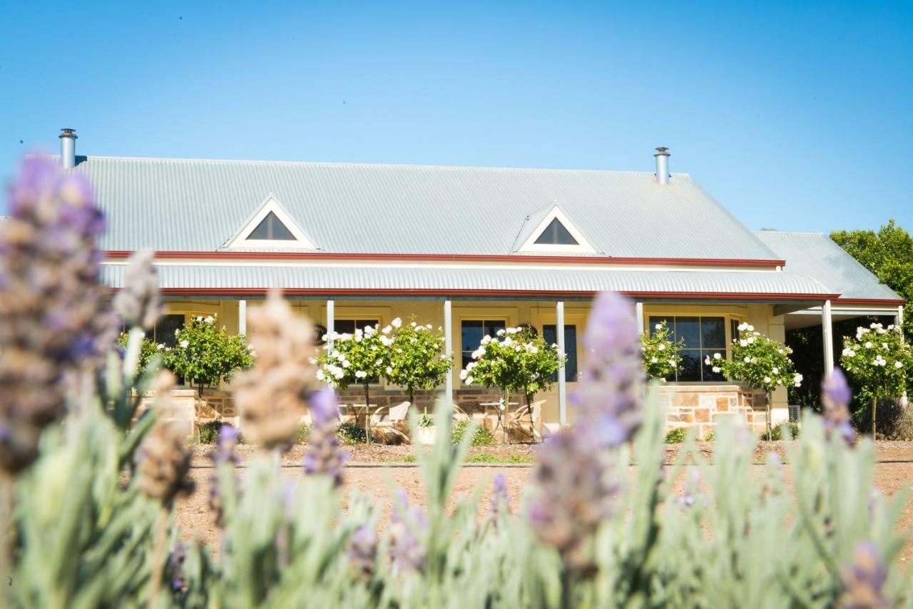 Barossa Vineyard Cottages Tanunda Exterior foto